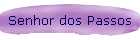 Senhor dos Passos